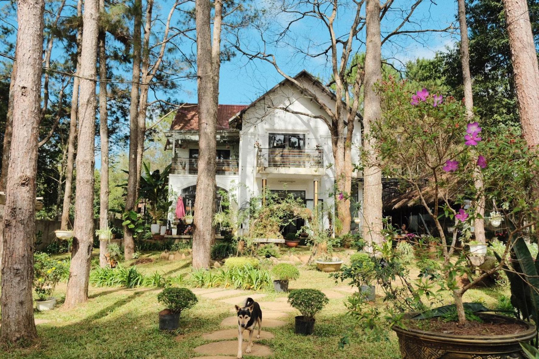S'Nghe Homestay Mang Den Kon Von Kla Экстерьер фото