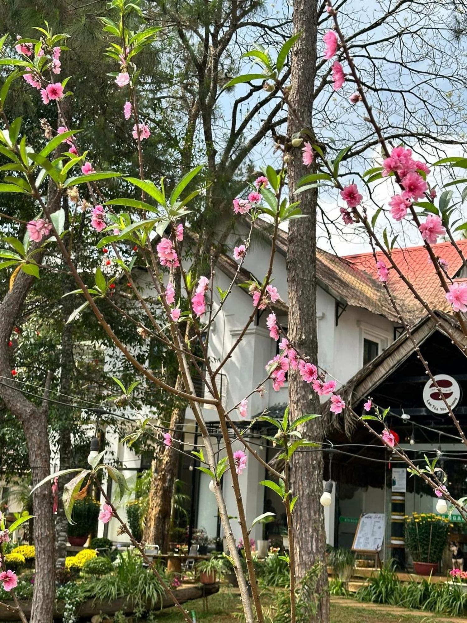 S'Nghe Homestay Mang Den Kon Von Kla Экстерьер фото